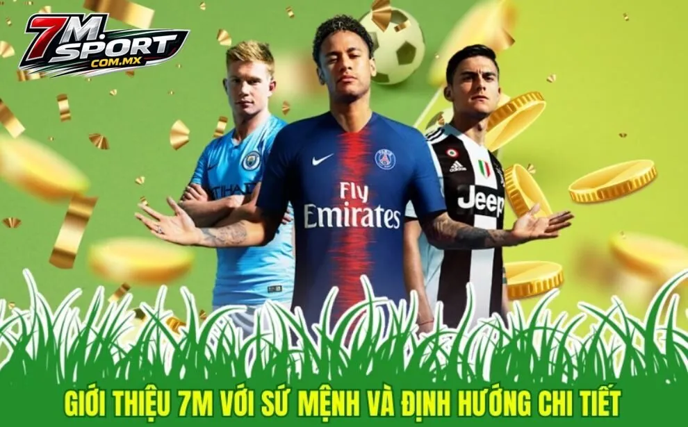 Giới thiệu 7m - sứ mệnh và định hướng chi tiết