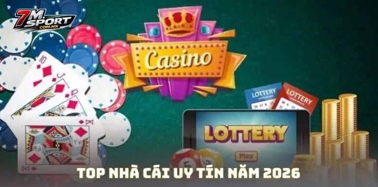 top nhà cái năm 2026